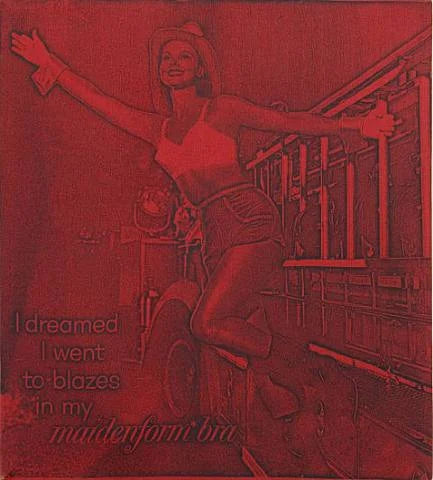 Ho sognato che andavo in fiamme con il mio reggiseno Maidenform (rosso)