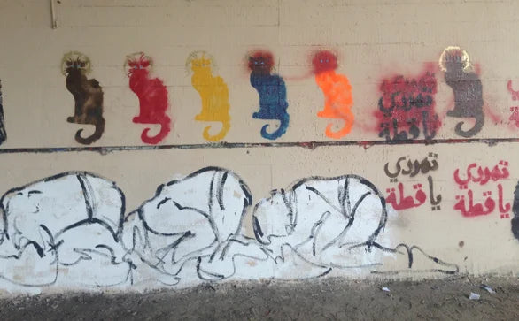Rebel cats