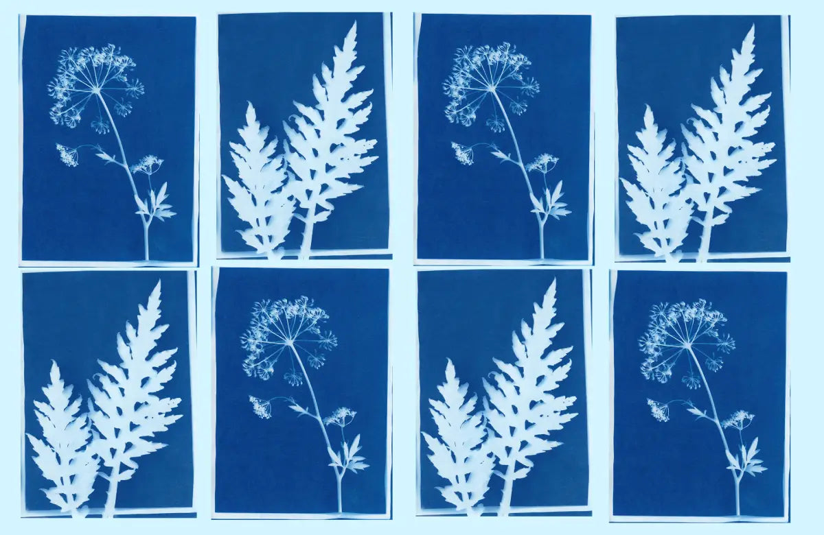 Cyanotype : procédé d'impression aux tons bleus