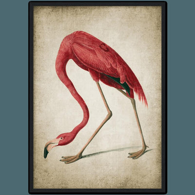 Tableau vintage flamant rose