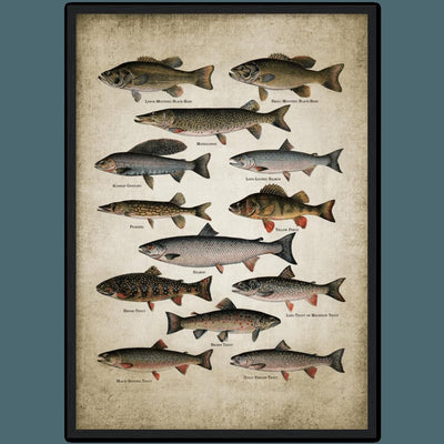 Tableau vintage poissons